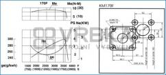 Motor KIPOR KM170F